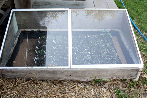 Heated seed starting coldframe